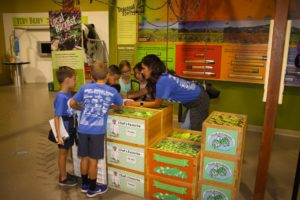 Children Looking at display in AgVentures Museum 